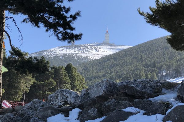 20190221_111616958_iOS